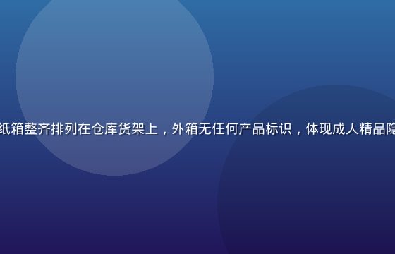 密封的中性外包装纸箱整齐排列在仓库货架上，外箱无任何产品标识，体现成人精品隐私包装的专业承诺