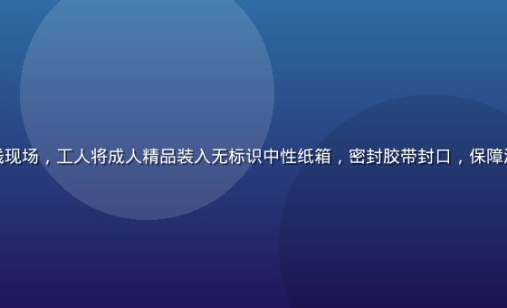 隐私包装流水线现场，工人将成人精品装入无标识中性纸箱，密封胶带封口，保障消费者个人隐私